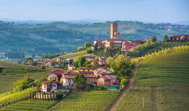 Barbaresco wine