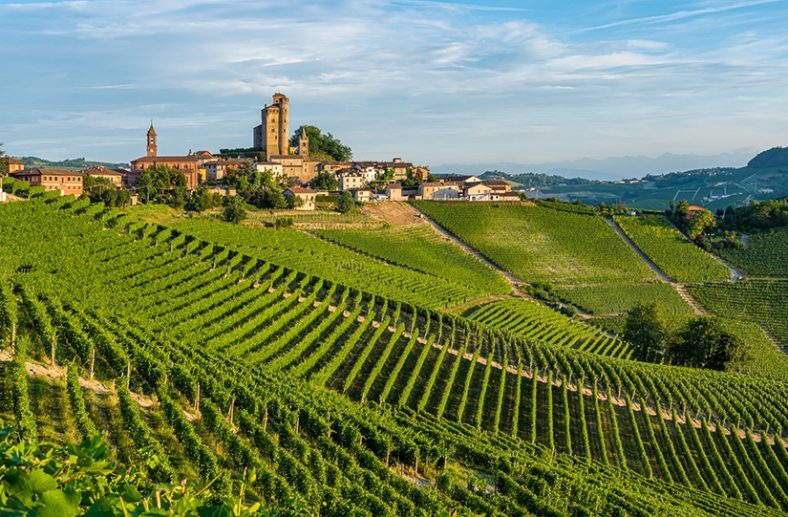 Barolo Italy